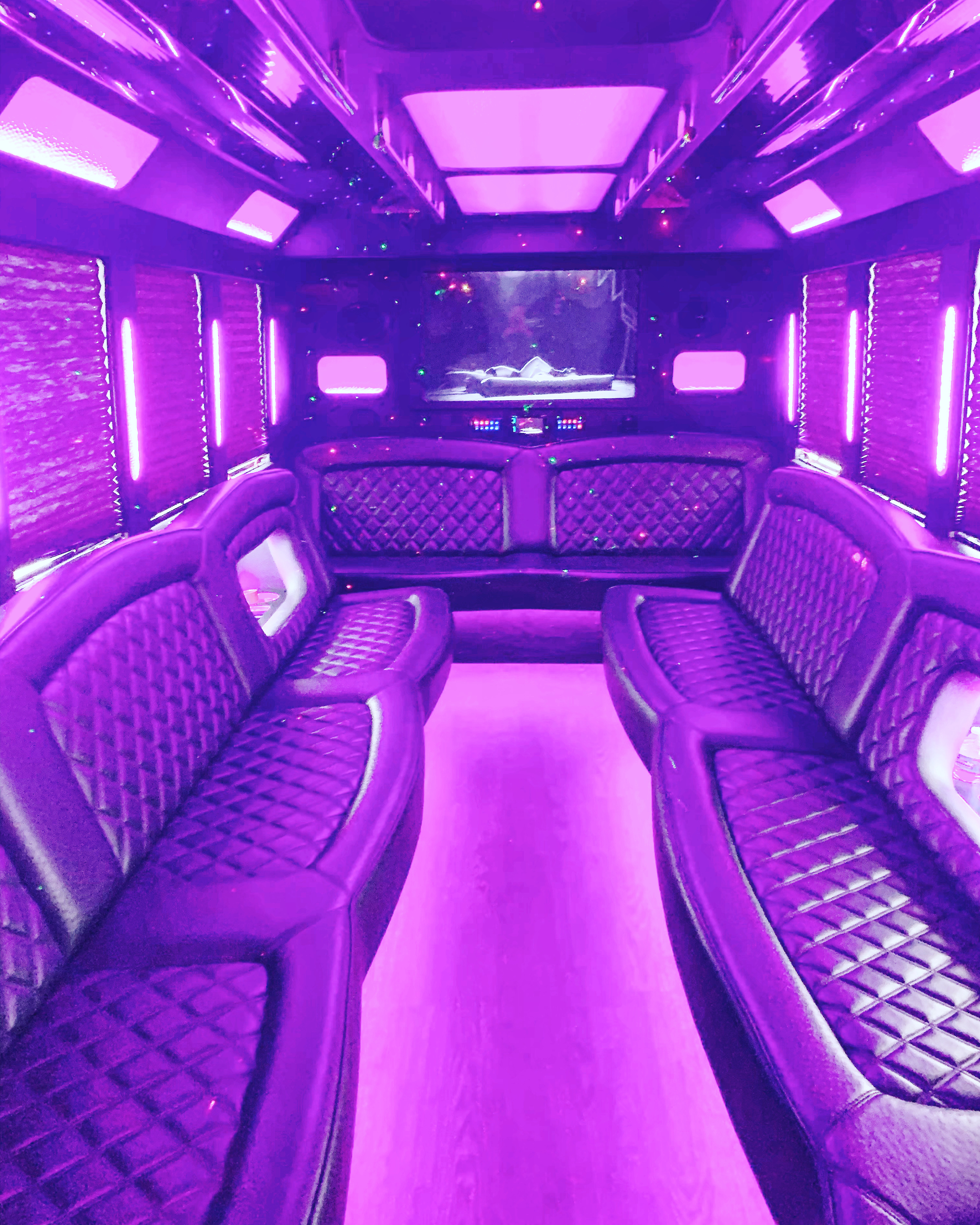 Party Bus Interior — The Grande — 24 Passengers
