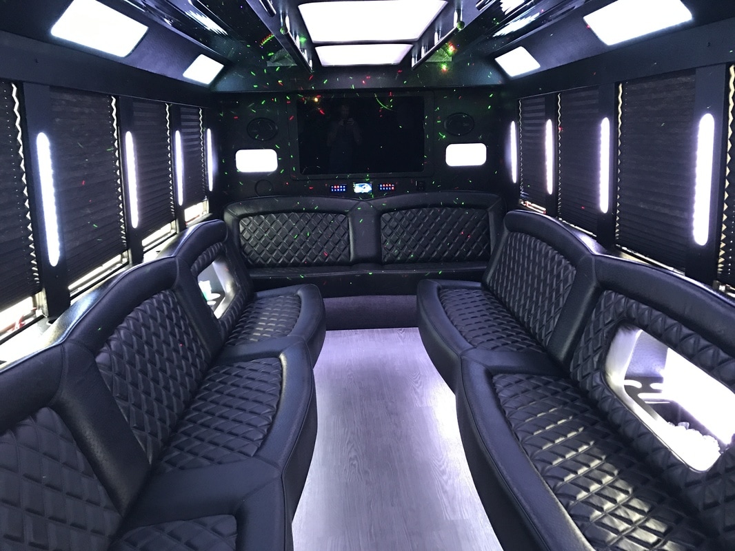 Party Bus Interior — The Executive — 20 Passengers